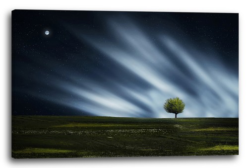 Tela cornice albero - albero, di